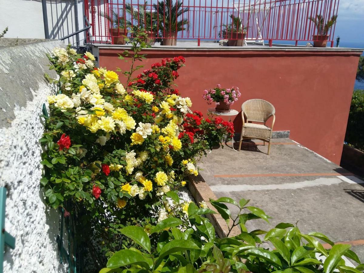 Villa La Marocella Capri Exterior foto