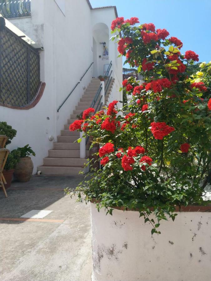 Villa La Marocella Capri Exterior foto